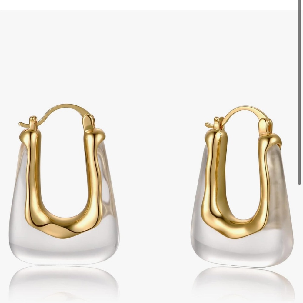 NWT hoop earrings see through